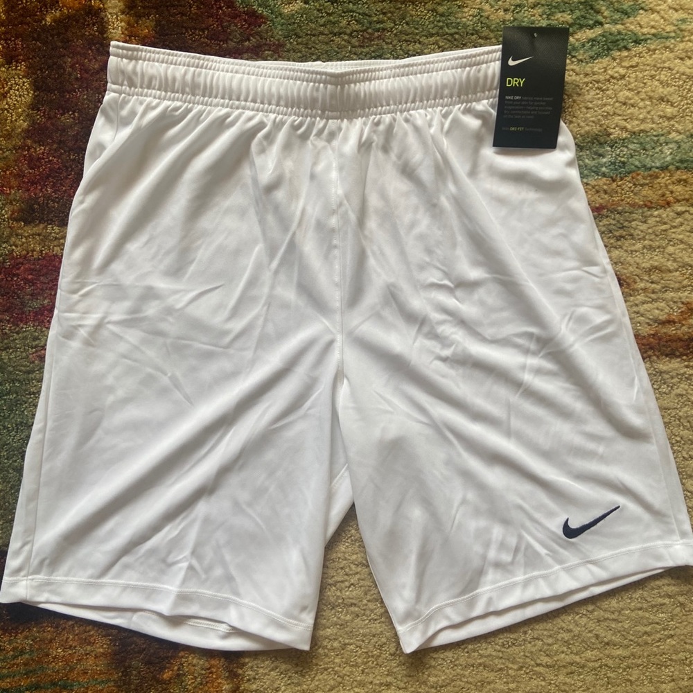 Men’s Nike Dry shorts